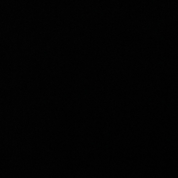 Meet your Posher, Zara - Picture 1 of 1